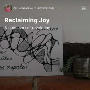 Background of art by Crunch and a small succulent in a plastic pot. White text over top reads "reclaiming joy - a quiet sort of revolution".